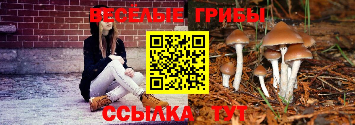Псилоцибиновые грибы MAGIC MUSHROOMS Городец