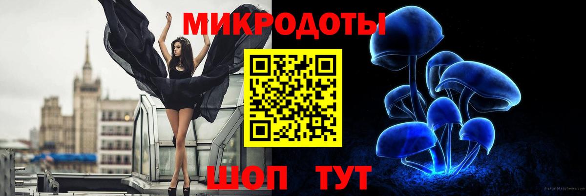цены наркотик  Псилоцибиновые грибы Psilocybine cubensis  Вход с VPN  Городец 